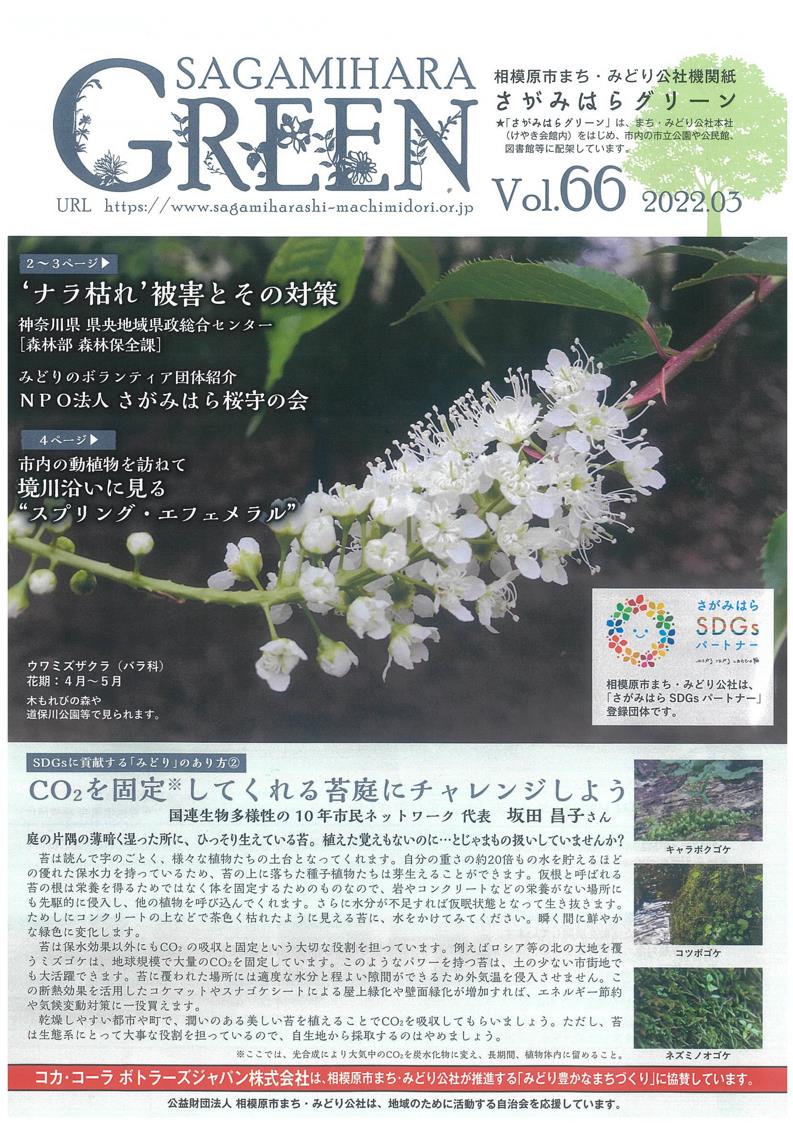 ★GREEN　Vol.66  1-4p_1.jpg